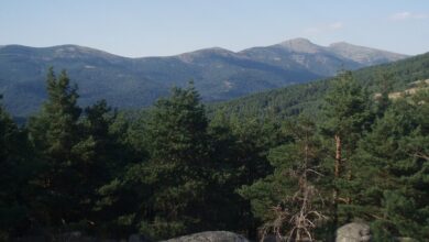 Photo of Descubre la ruta de senderismo más hermosa de España en la Sierra de Guadarrama, cerca de Madrid