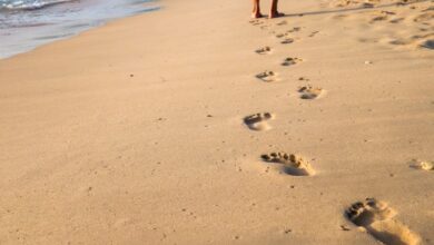Photo of «Beneficios de correr descalzo: descubre las ventajas de calzado minimalista para correr»