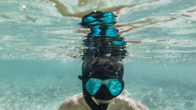 Photo of «Guía completa para practicar snorkel este verano: todo lo que necesitas saber»