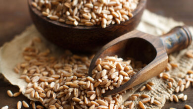 Photo of «Cereal antiguo rico en nutrientes similares a la quinoa: descubre sus beneficios para la salud»