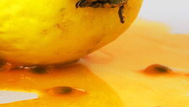 Photo of Beneficios de la papaya para la salud y la belleza – Vitónica