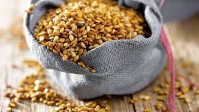 Photo of «Cereales y legumbres: La mejor combinación para una proteína vegetal de calidad»