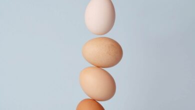 Photo of Diferencias nutricionales entre un huevo con yema y sin ella: ¿Cuál es más saludable? – Guía completa