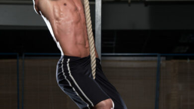 Photo of «Ejercicios por grupo muscular: Encuentra los mejores ejercicios en MuscleWiki»